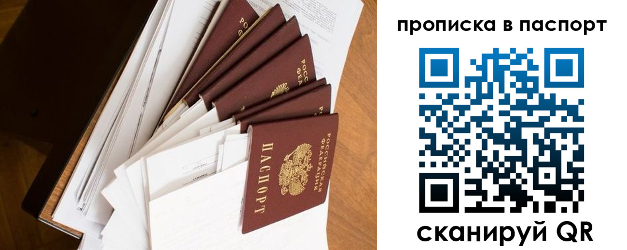 прописка 2025 в Долгопрудном